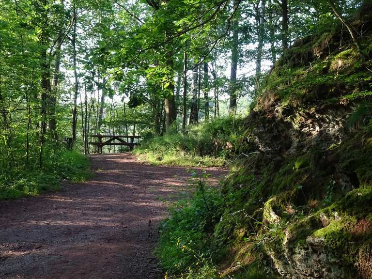 Rastplatz: Wanderungen und Rundwege | komoot