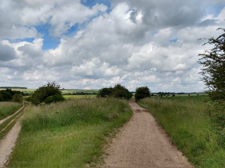 ridgeway mountain bike trail