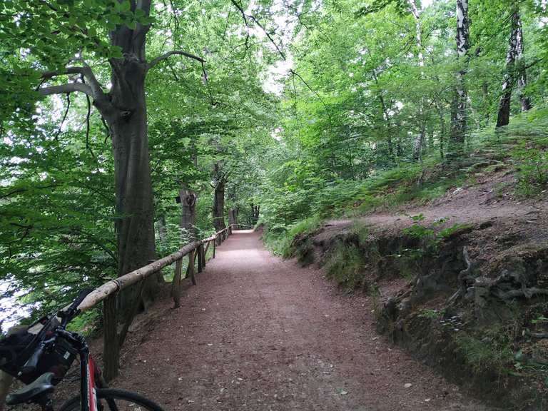 Broicher Weiher mit Mühle und Auwald - Cycle Routes and Map | Komoot