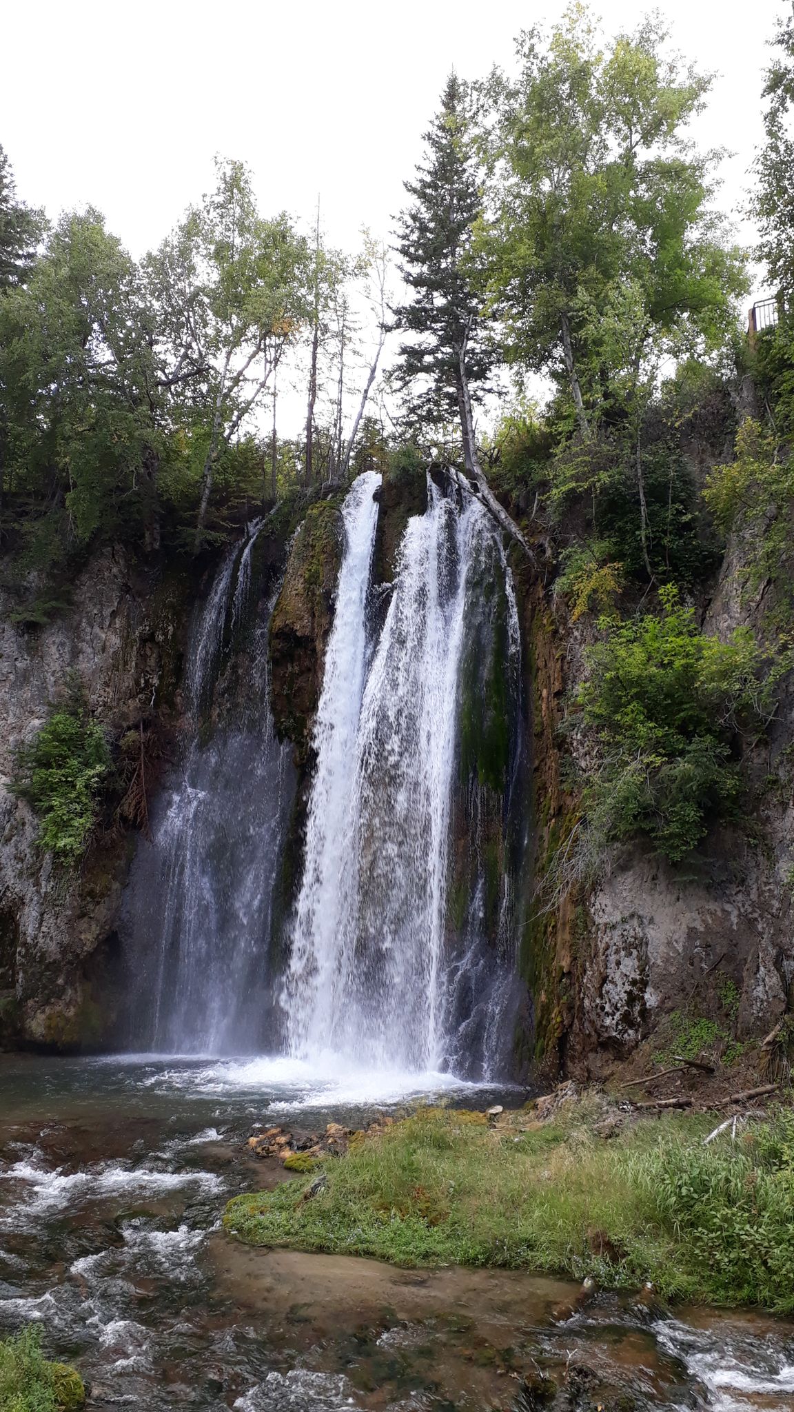 Tall waterfall cascades over rocky cliffs into a stream, surrounded by trees. - Spearfish Falls Trail