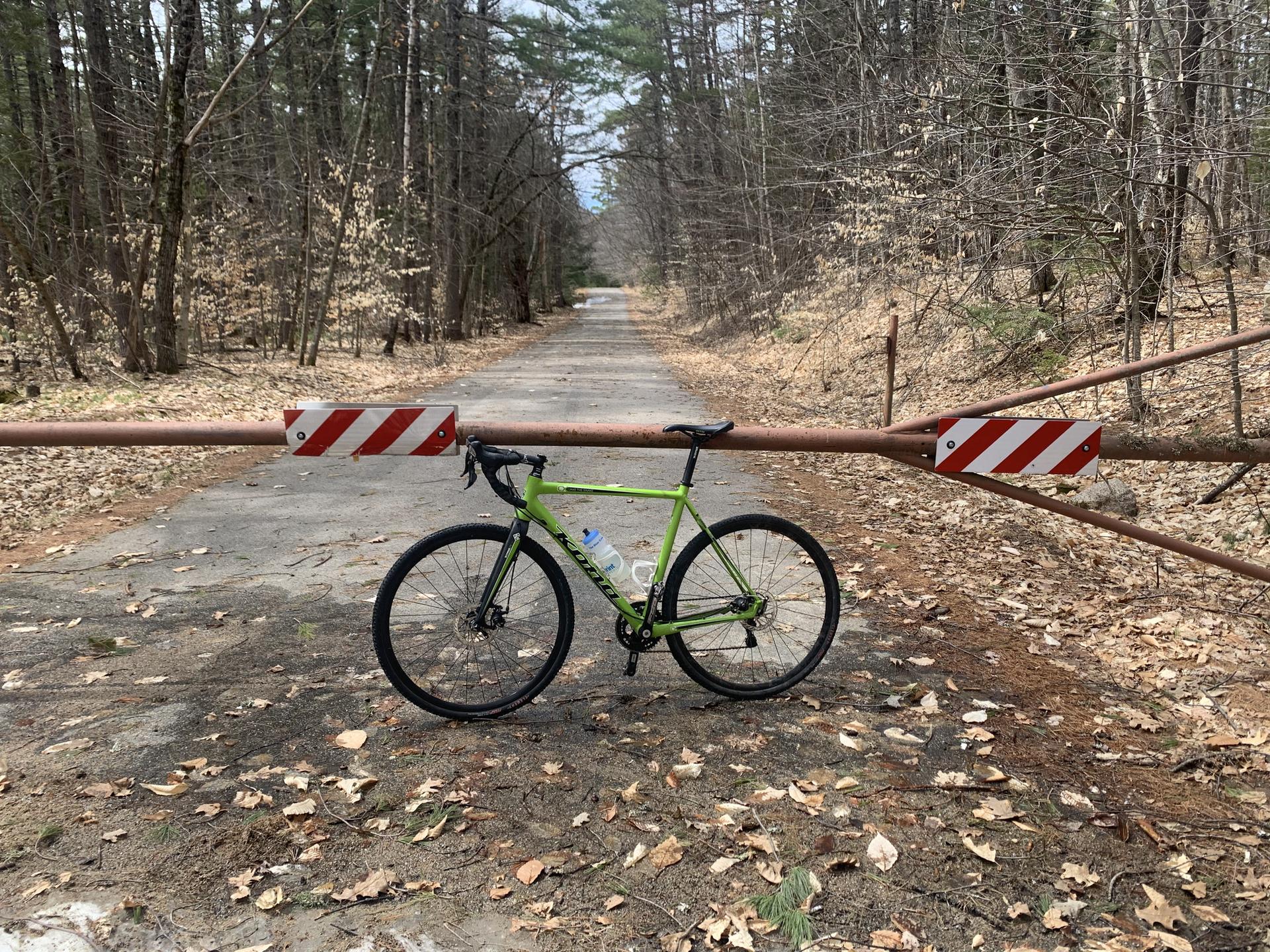 Green bicycle by a rusty gate on a dirt road through a sparse forest.