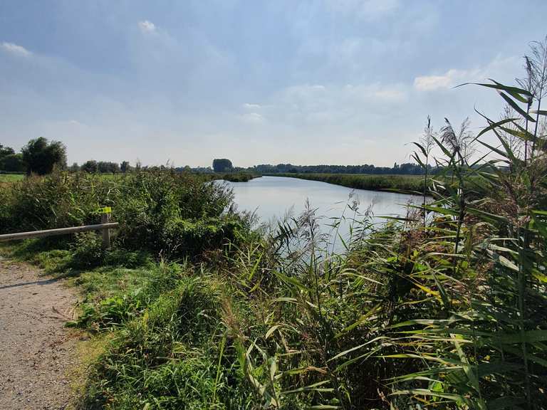 Meanderende Oude Schelde wandelroutes en hikes | Komoot