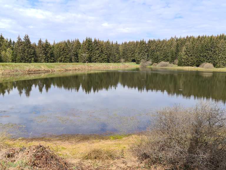 Zankwieser Teich Wanderungen und Rundwege komoot