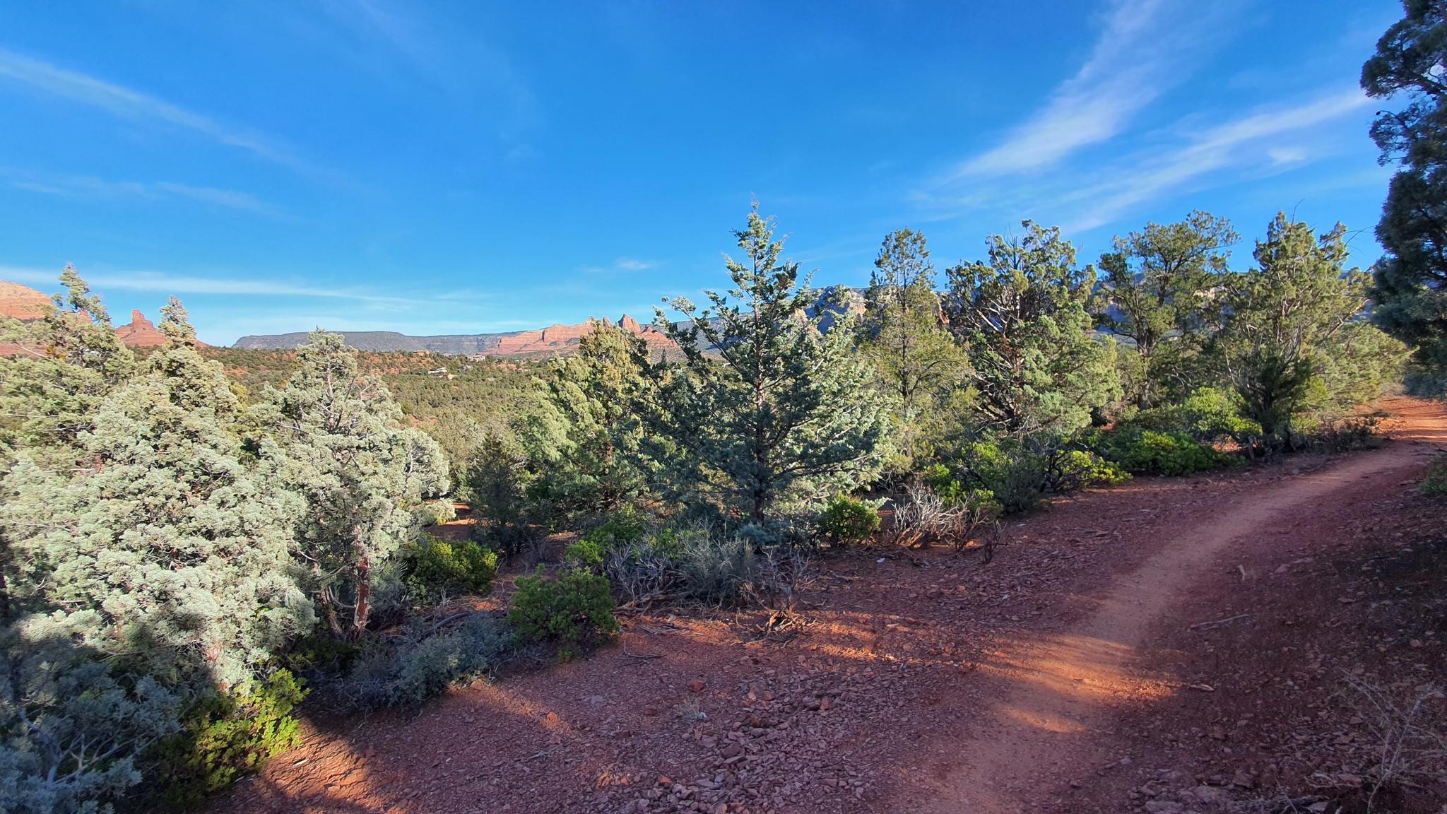 Sunny desert landscape with red dirt path, green trees, and distant red rock formations.