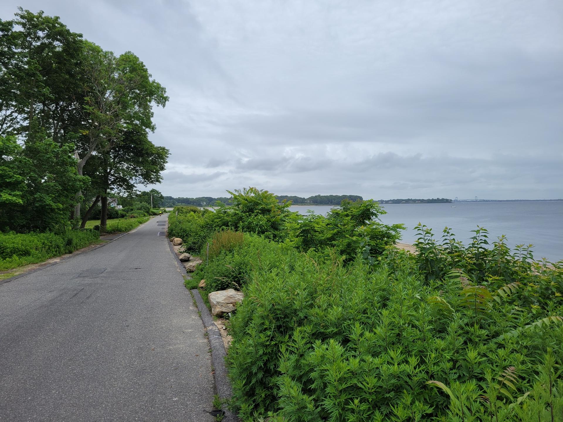 A paved road runs alongside calm water with green bushes under a cloudy sky.