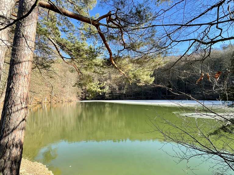 Schönsee Routes for Walking and Hiking | Komoot