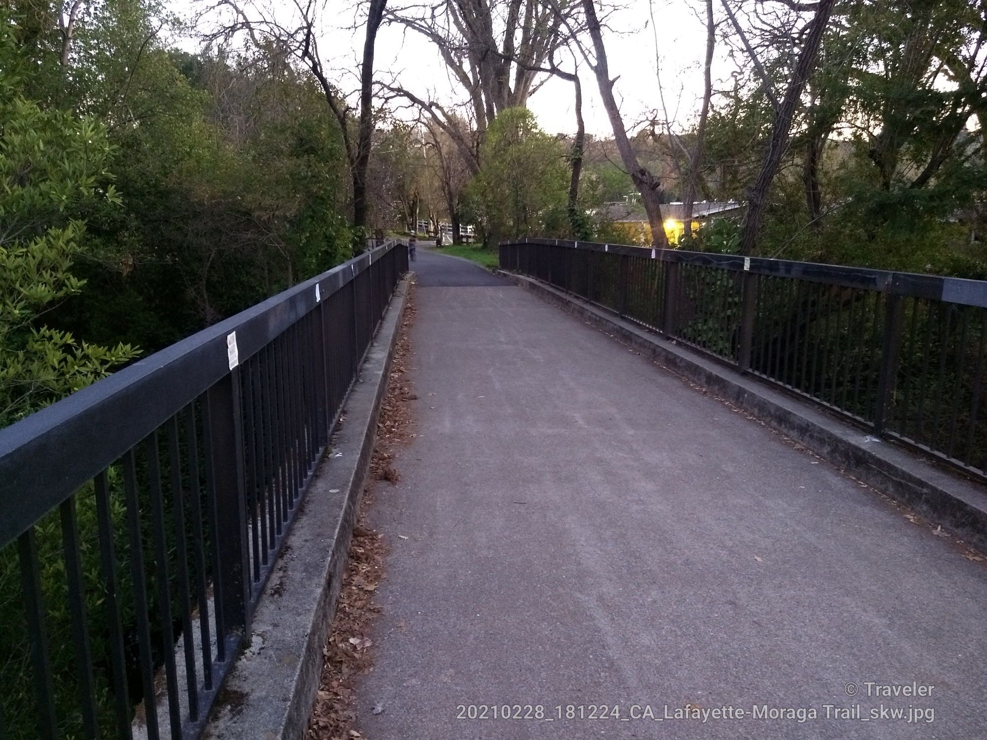 A paved bridge with black railings extends through a wooded area at dusk. - Las Trampas Creek bridge – Museum of the San Ramon Valley loop from Rheem Valley