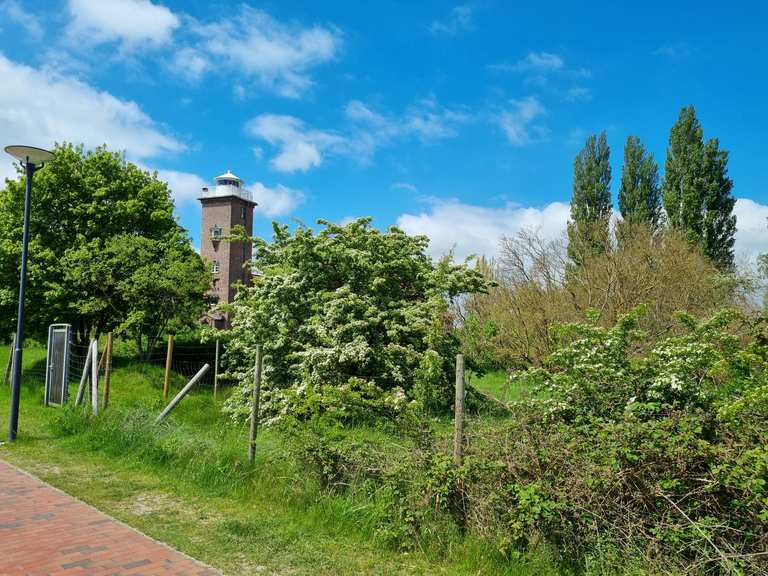 Radweg direkt am Stand Pelzerhaken Neustadt in Holstein