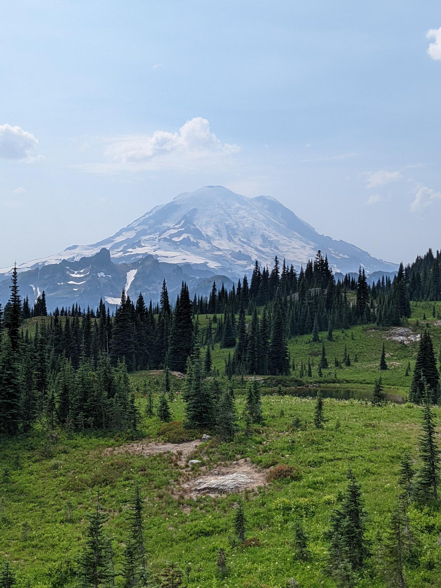 Snow-capped mountain peak rises majestically above a green forest and meadow.
