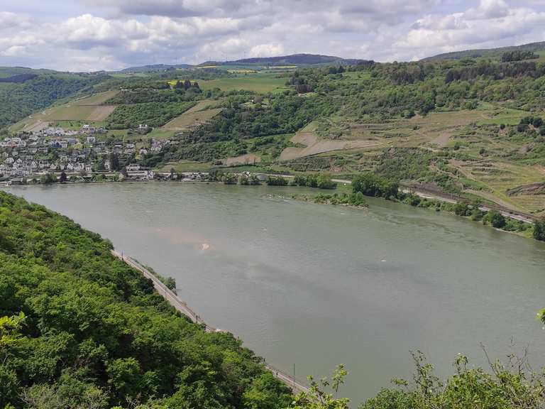 Bank mit Blick auf das Rheintal (Rheinhänge von Burg Gutenfels bis zur ...