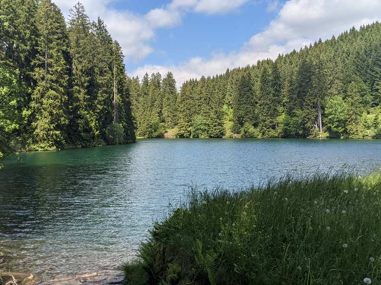Köte am Heidestieg (HWN 124) Schalker Teich Runde von Schulenberg