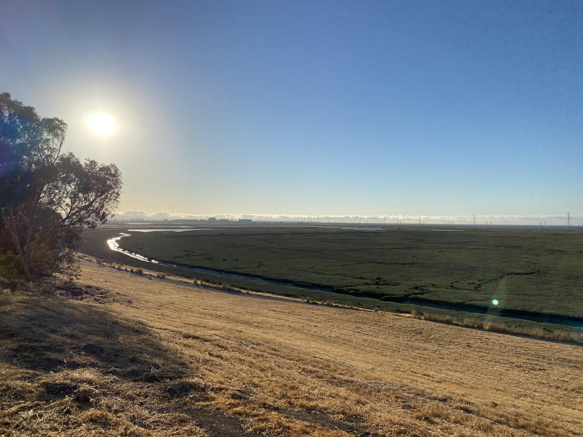 Bright sun over a vast green marshland with a winding river and hills.