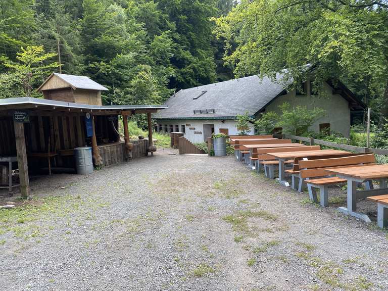 Alter Teich Wanderungen und Rundwege komoot