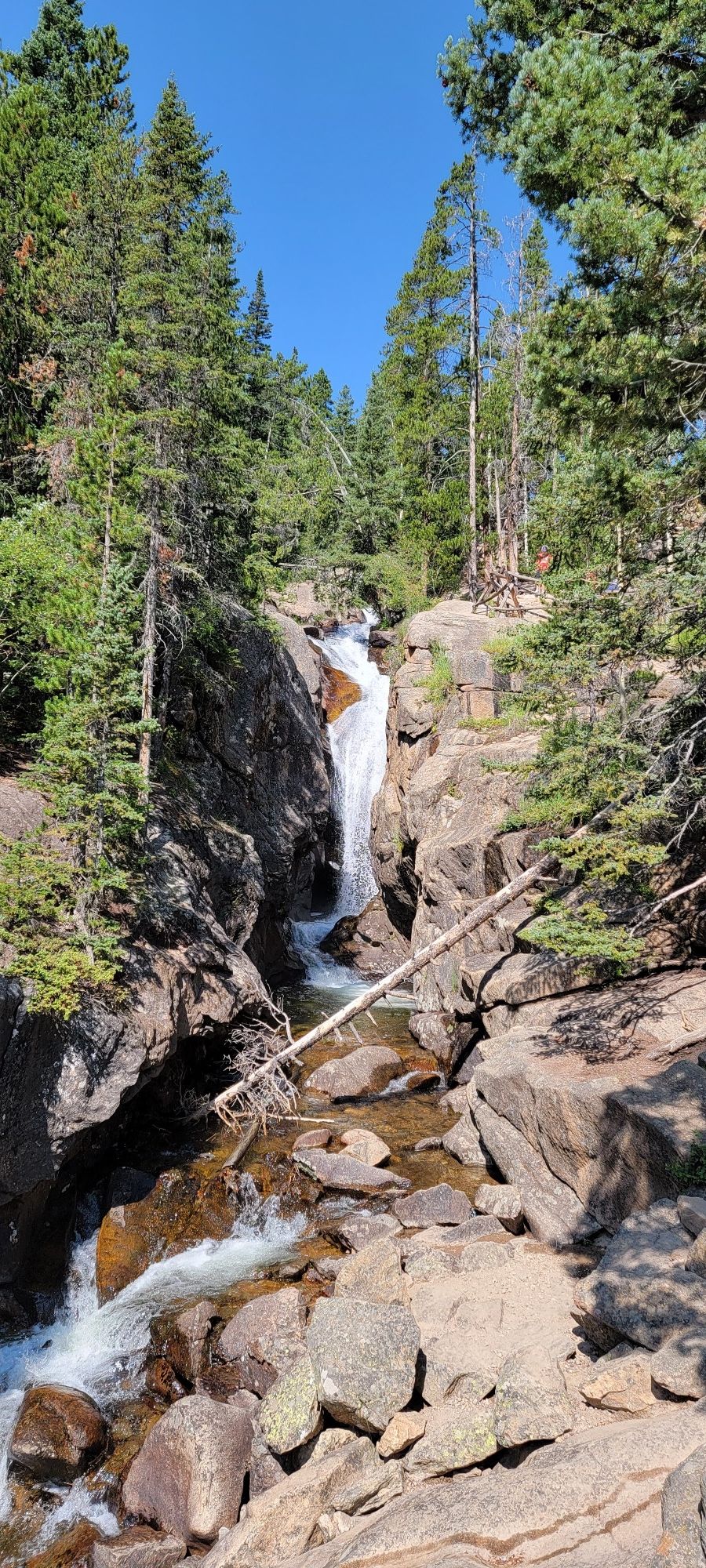 A clear waterfall cascades over rocks through a dense pine forest. - Chasm Falls – Lava Cliffs Overlook loop from Hazels Cone