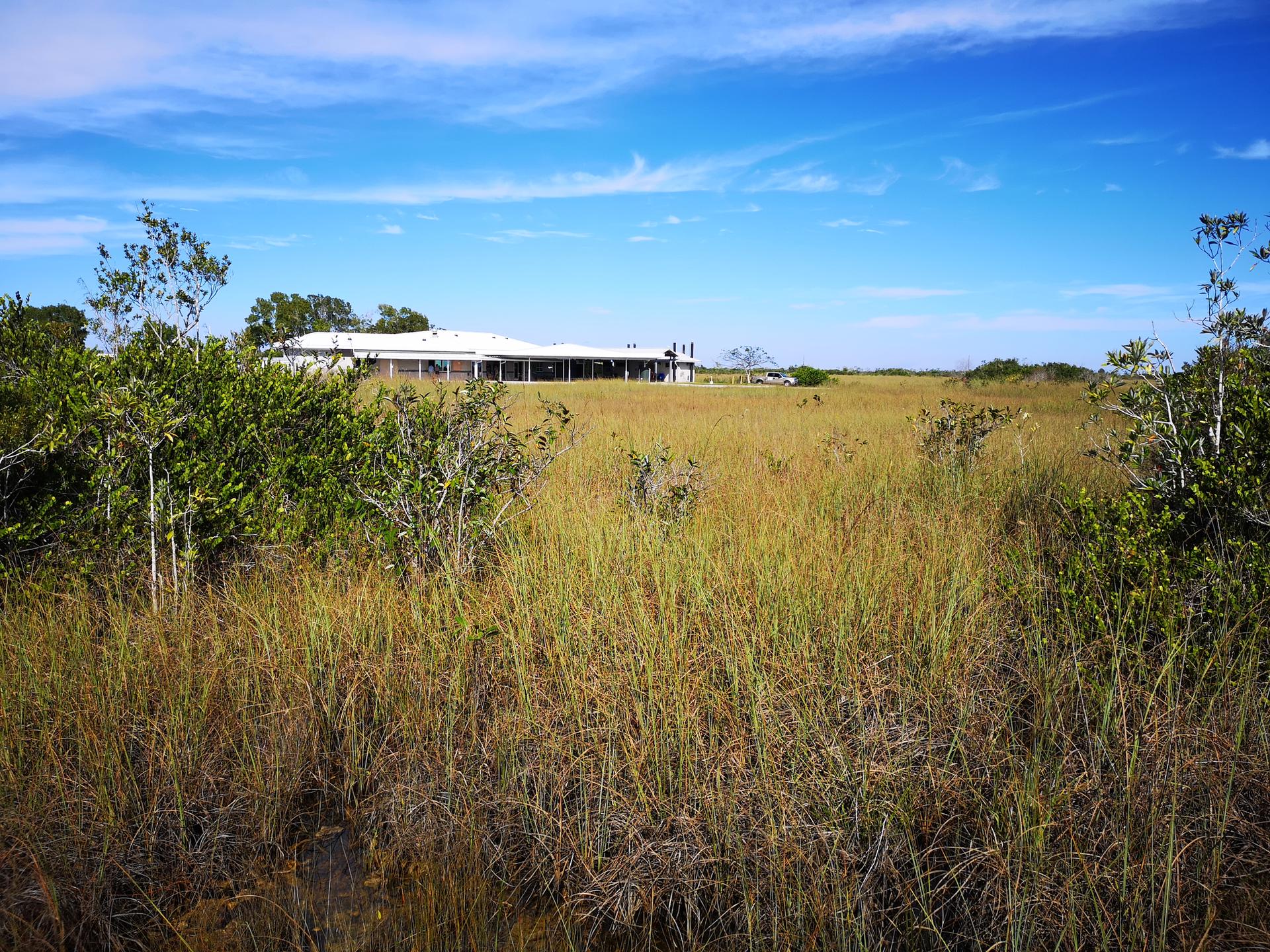 Distant building in a vast field of tall golden grass under blue sky.