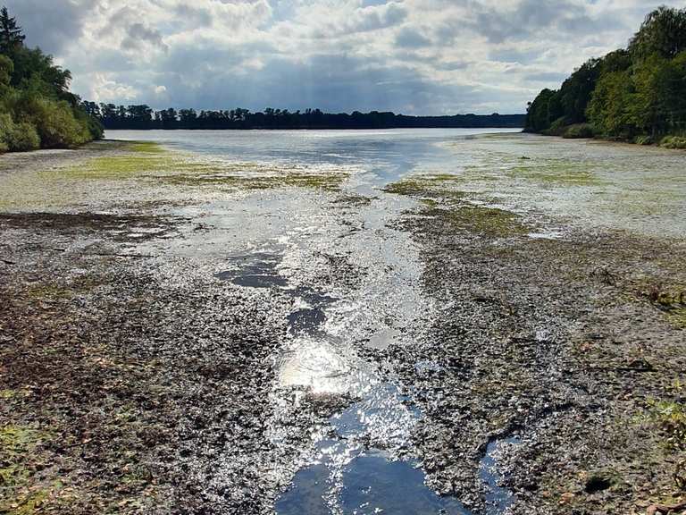 1000 Teiche Rundweg Wanderungen und Rundwege komoot