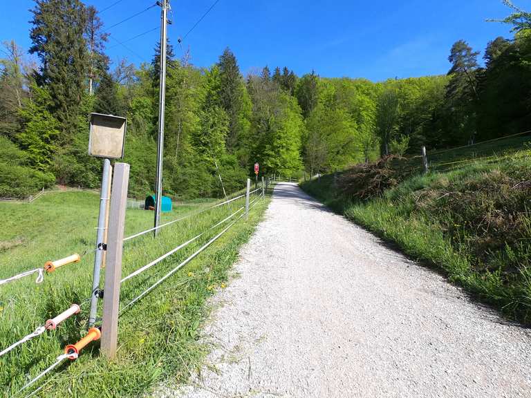 Wohlensee Wohlen Bei Bern Bern Mittelland Mountainbiketipps Fotos Komoot