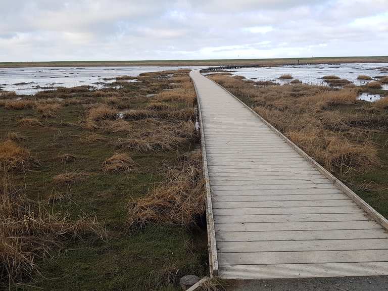 Naturerlebnispfad Langwarder Groden - wandelroutes en hikes | Komoot