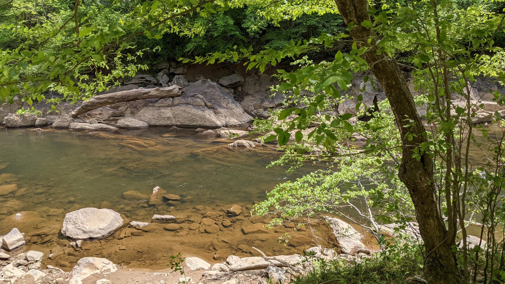 Clear river with rocky bottom and lush green foliage on its banks.