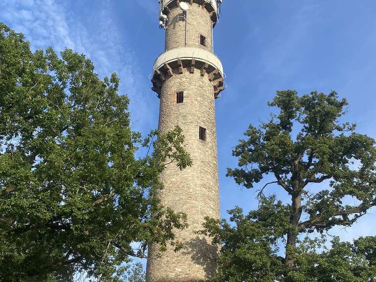 Langenselbold: Buchbergturm – Buchberggrill Runde von Oberrodenbach