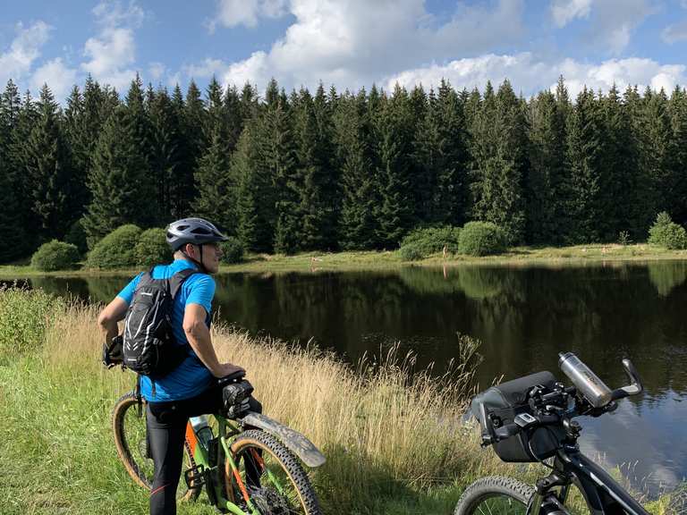 Zankwieser Teich Mountain Bike Trails & Tracks Komoot