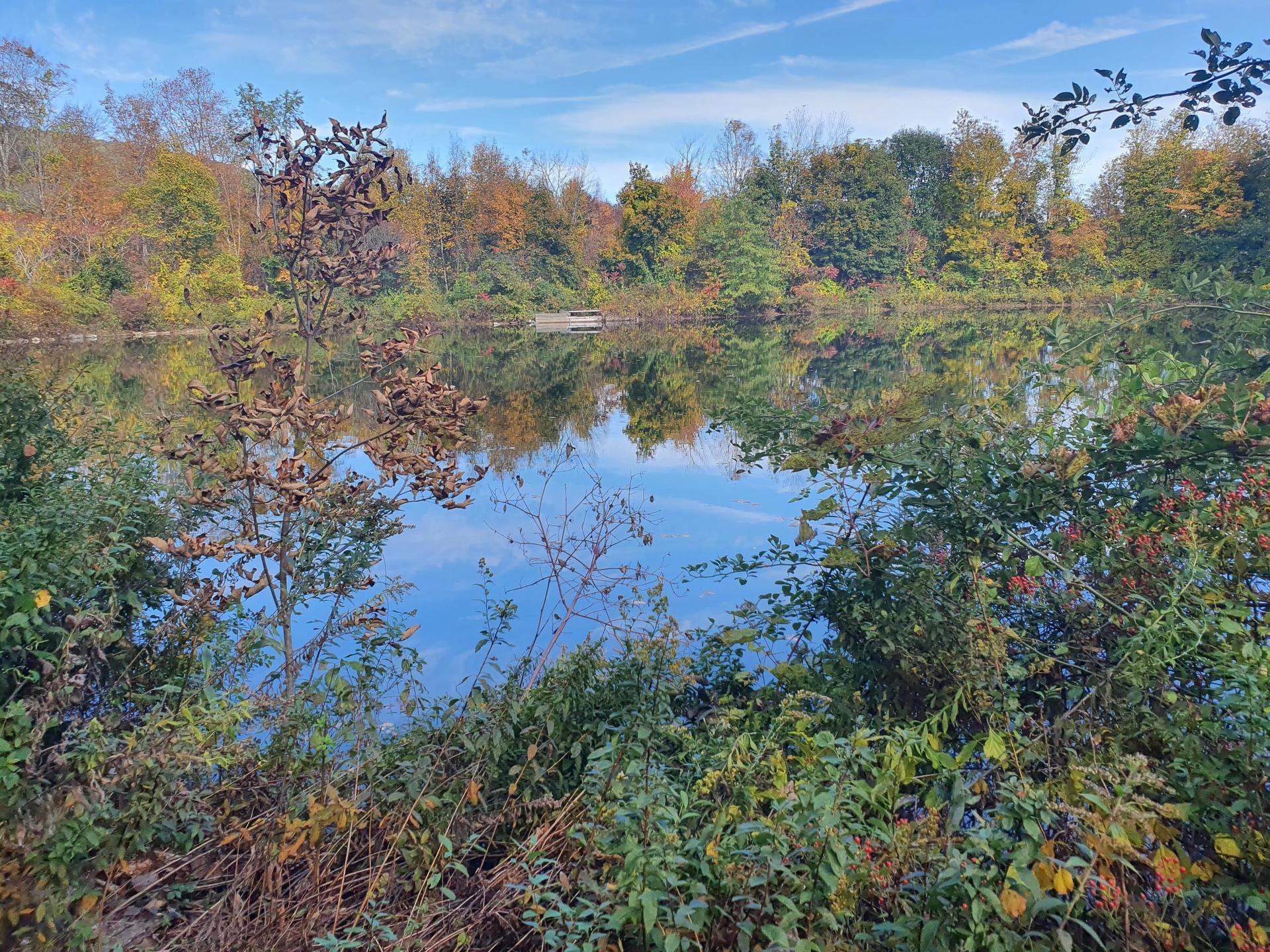 Serene lake bordered by vibrant autumn trees and green foliage under blue sky.