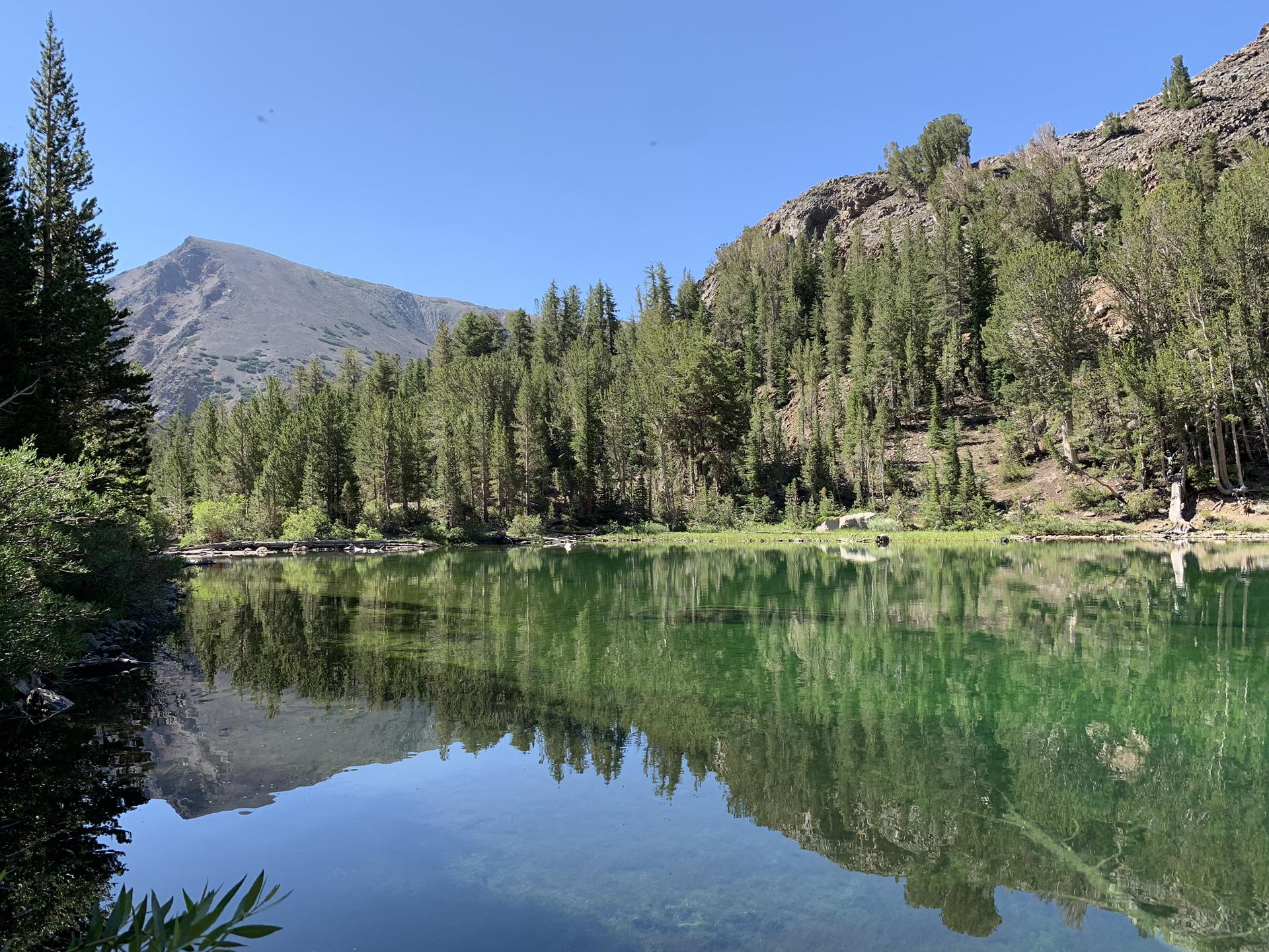 Clear mountain lake reflecting pine trees and rocky peaks on a sunny day.
