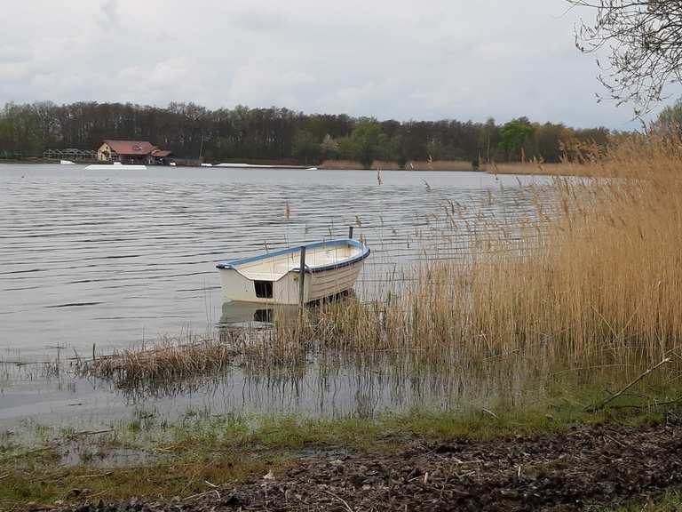Büchertausch am Reitbahnsee Wanderungen und Rundwege komoot