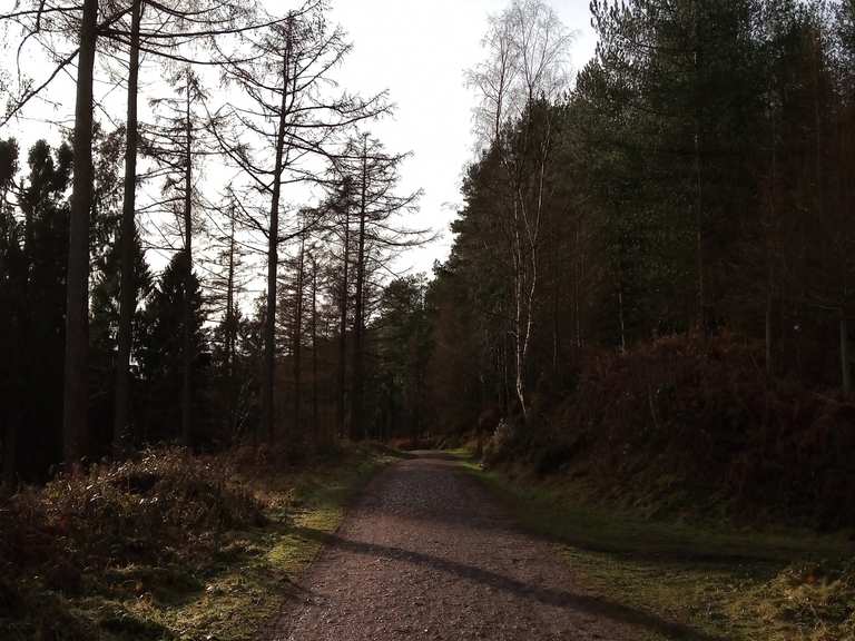 Stepping Stones, Cannock Chase Top of "The Butts" loop from Slitting