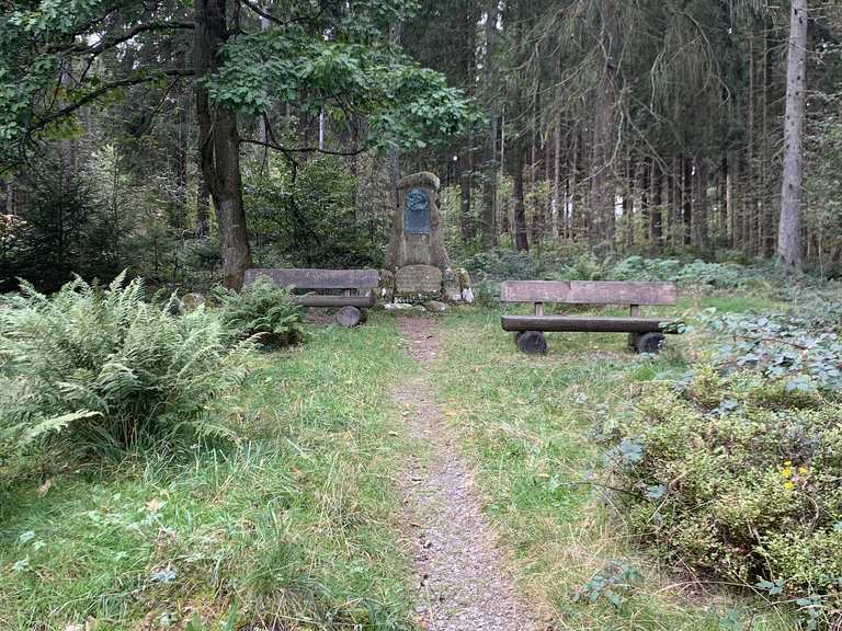 Hexenbank Kuttelbacher Teich Circuit à partir de Bockswiese