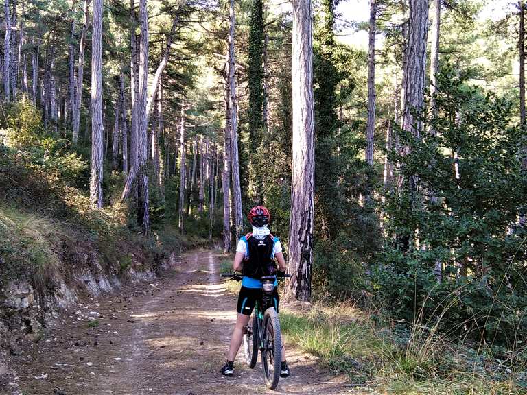 Castillo de Boixadors Schleife im Naturschutzgebiet der Sierra de