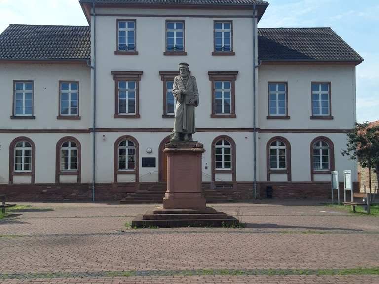 Badesee Gernsheim Waldtierpark Runde von Darmstadt