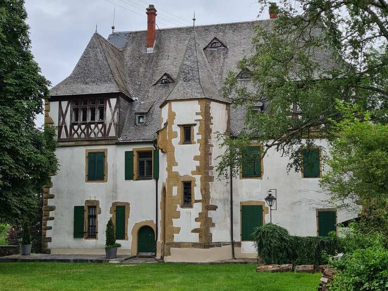Schloss Allenbach Wanderungen und Rundwege komoot