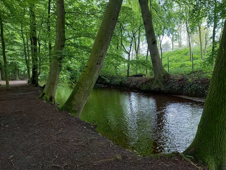 Lutter Wald NordrheinWestfalen, Deutschland Radtouren