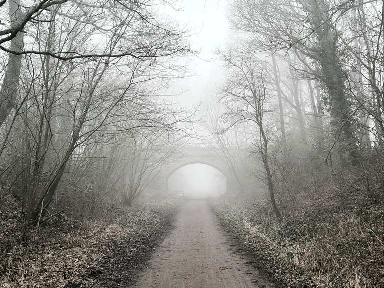 Forest Way Country Park Cycle Routes and Map, East Sussex