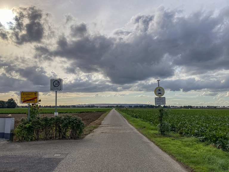 Elsdorf-Grouven übers Feld - Road Cycle Routes and Map | Komoot