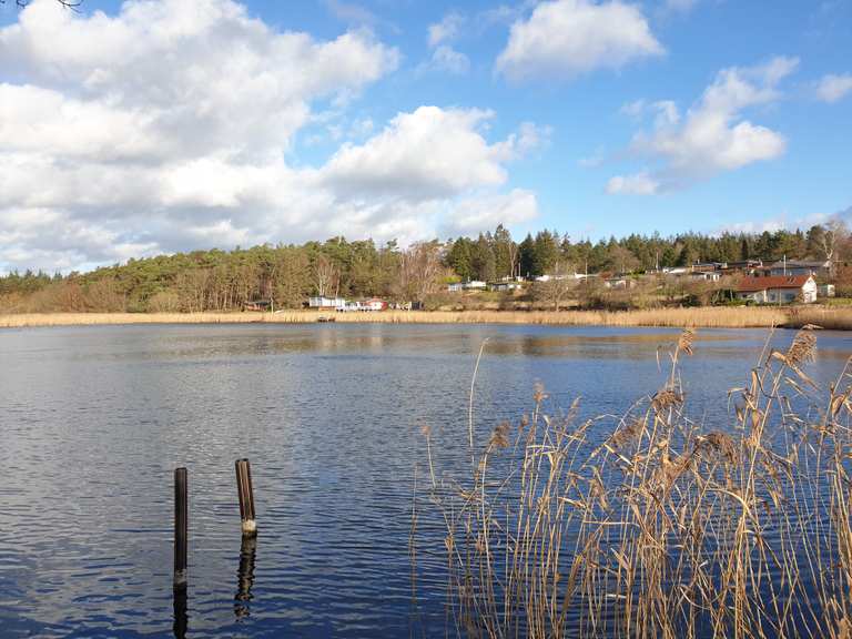 Weseby an der Schlei Wanderungen und Rundwege komoot