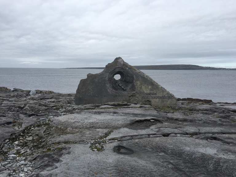 Memorial to shipwrecked sailors Routes for Walking and Hiking | Komoot