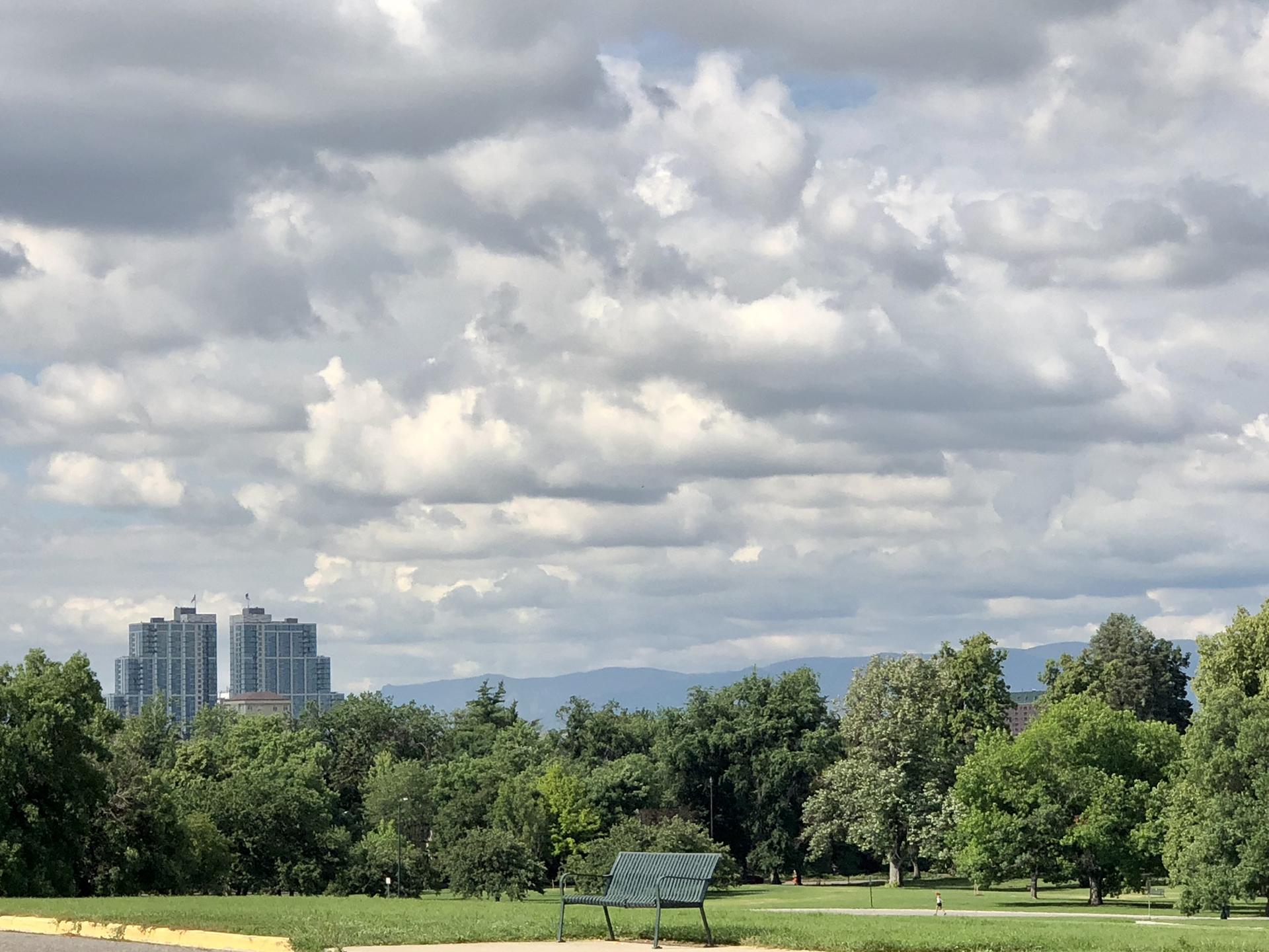 Overcast sky above a green park, distant buildings, and mountains.