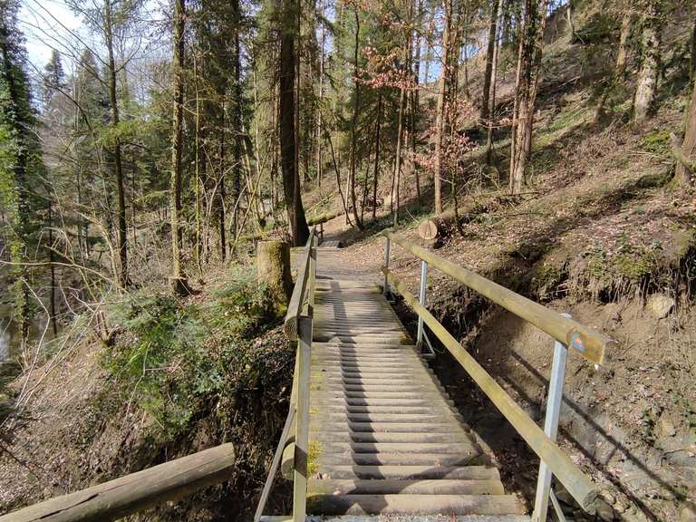 Riffigweiher Routes for Walking and Hiking | Komoot