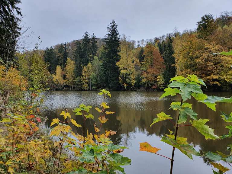 Neuer Teich, wandelroutes en hikes Komoot
