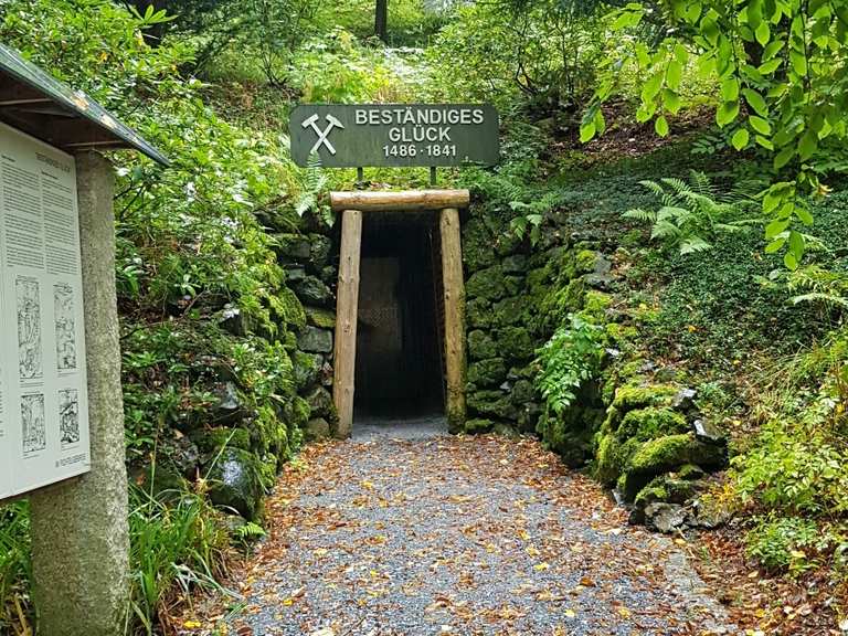 Dendrologischer Garten Bad Berneck im Fichtelgebirge