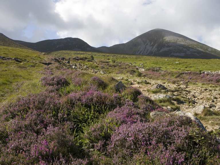 Enclosure in Croagh (corkermore Ed)