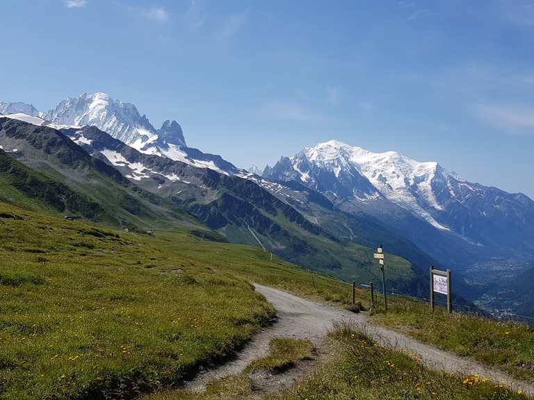 Col du Balme via Grand Dessus — trail running loop from Col du Forclaz ...