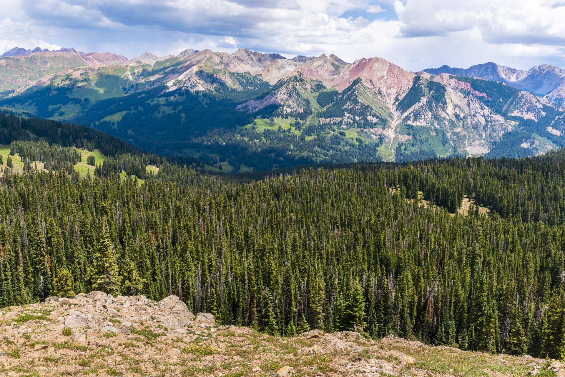 Expansive view of dense pine forests and colorful, rugged mountains under a cloudy sky.