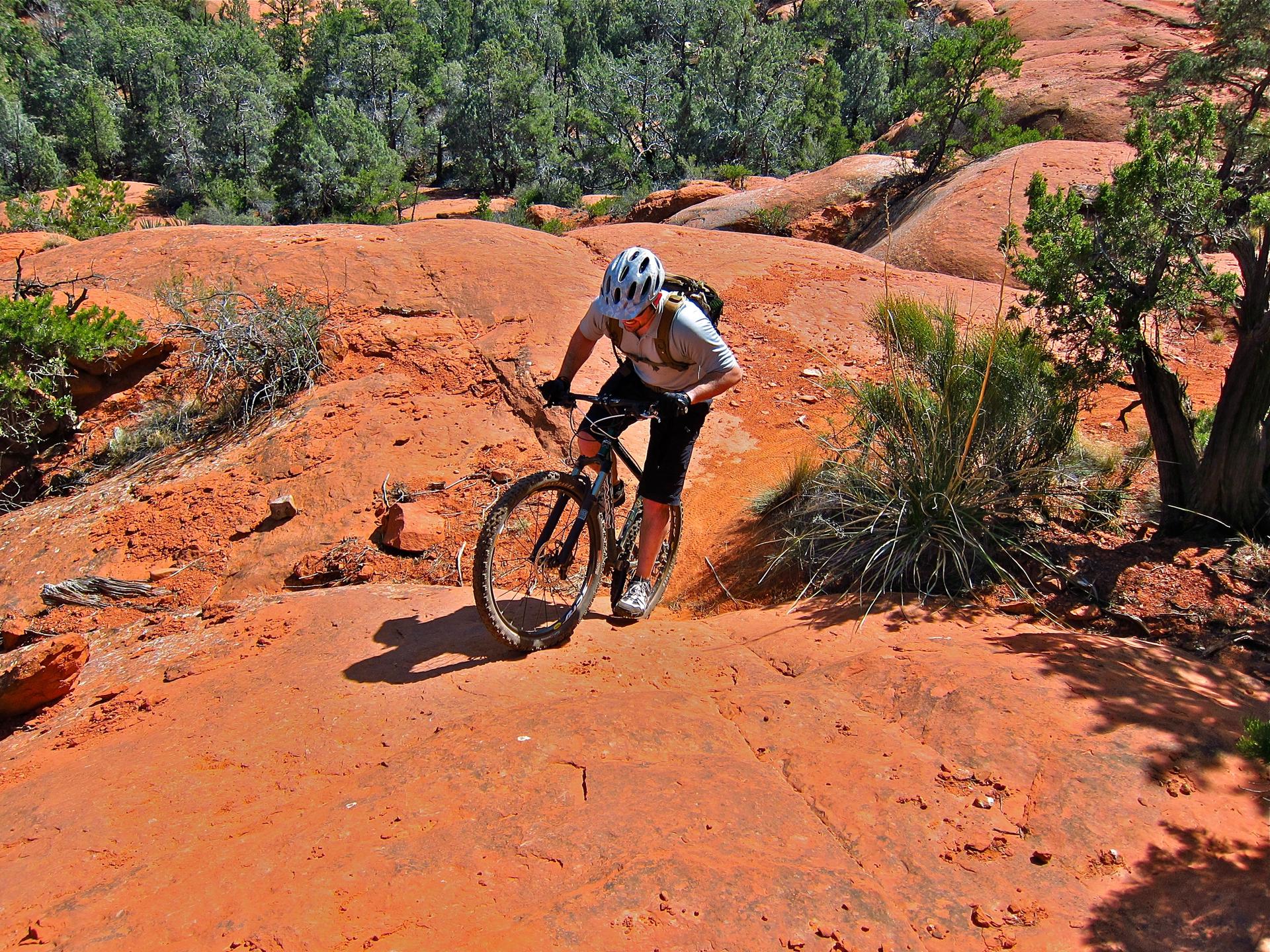 Mountain biker stands on a red rock trail surrounded by sparse green plants.