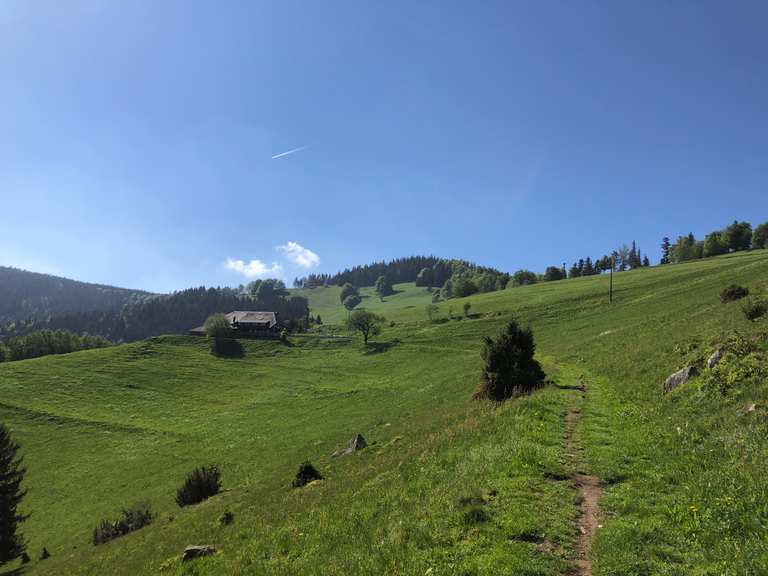 Freiburg single trail