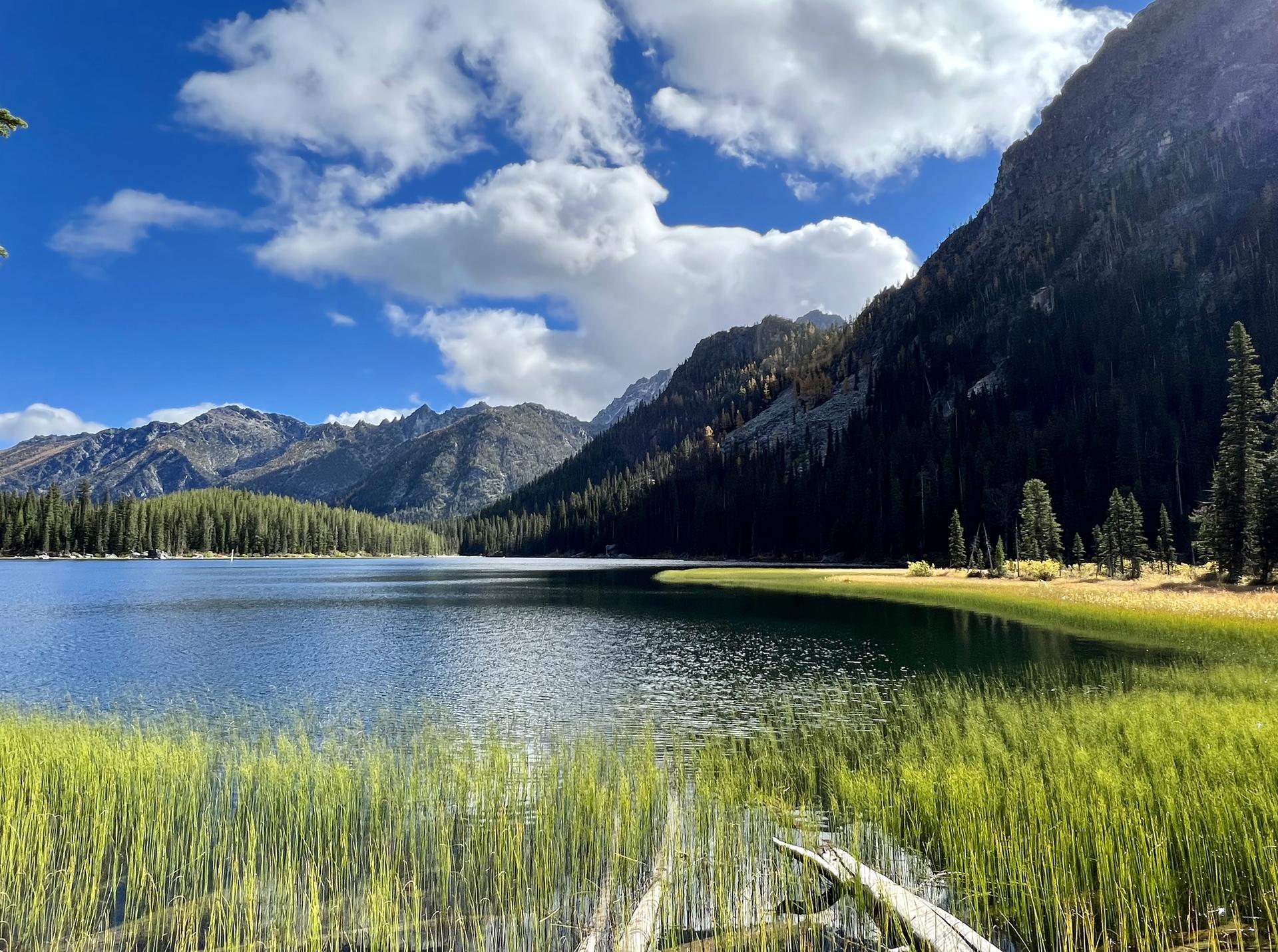 Serene blue lake with tall grass, dark forested mountains, and a bright sky.