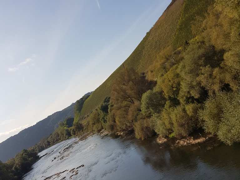 Altarm der Saar bei Kanzem – Wander- & Radrouten | Komoot