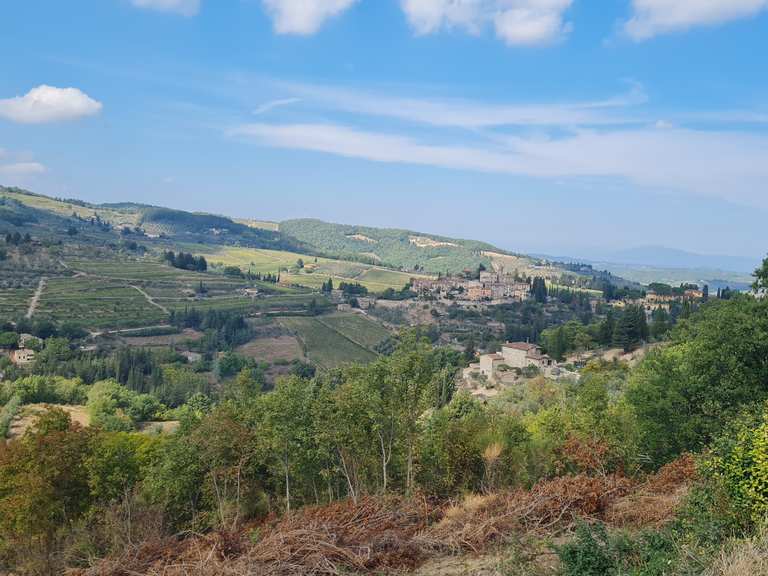 I panorami nei dintorni di Greve in Chianti — Giro ad anello